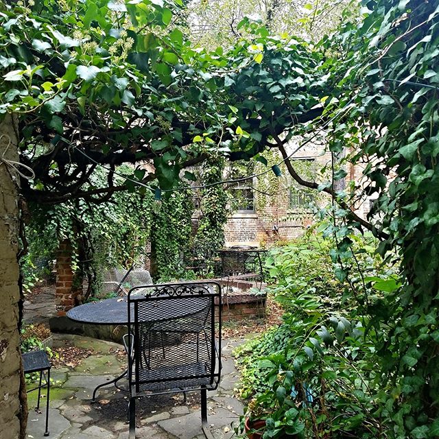 Thinking about warm summer days in the gorgeous English backyard garden at the corner of Bleecker &amp; 11th.  #westvillage #westvillagenyc #westvillageeats #westvillagelife #greenwichvillage #magnoliabakery #bleeckerstreet #bleeckerstreetbeat #anoth