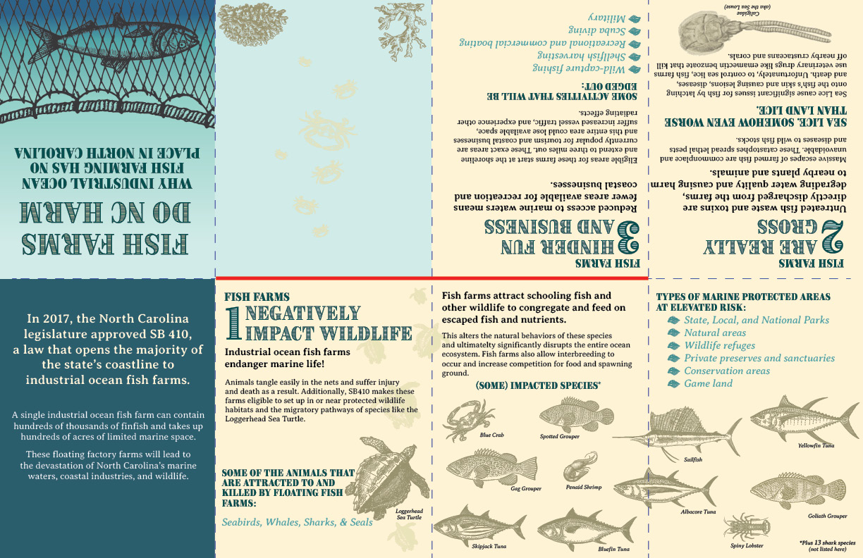 Factsheet (unfolded)