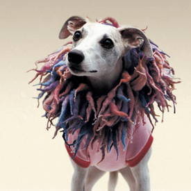 Screen Shot 2016-03-29 at 4.19.50 PM.png