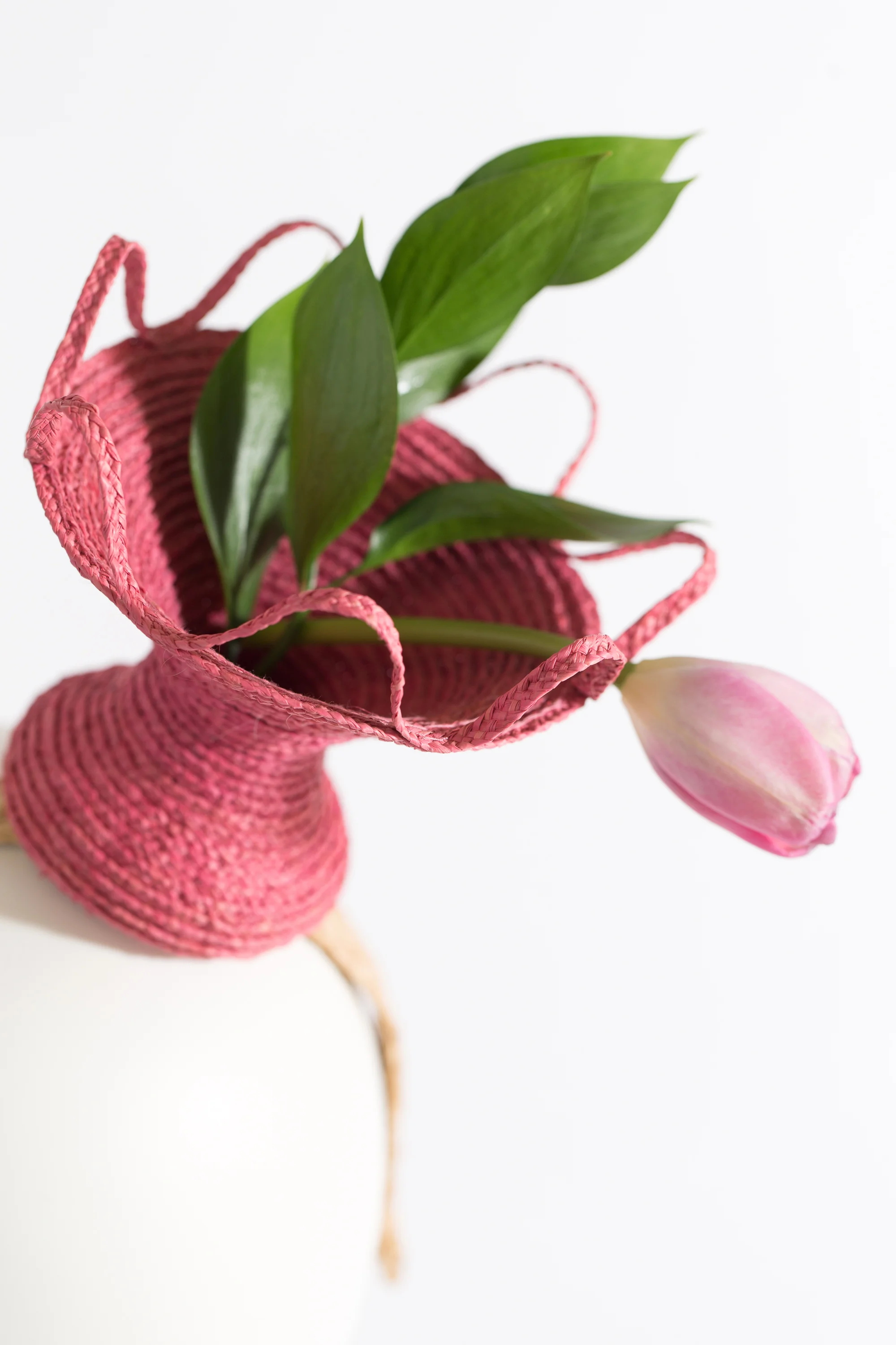 20190325_CelinaKane_SS19_46.JPG