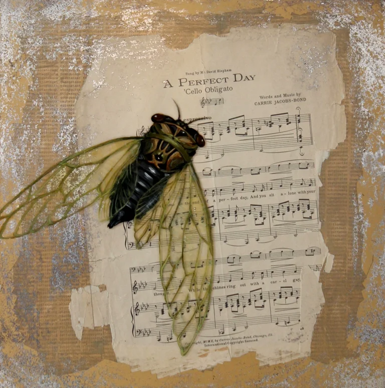 Passing Time #6 (Cicada)