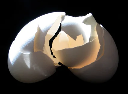 Two Eggs Facing #832