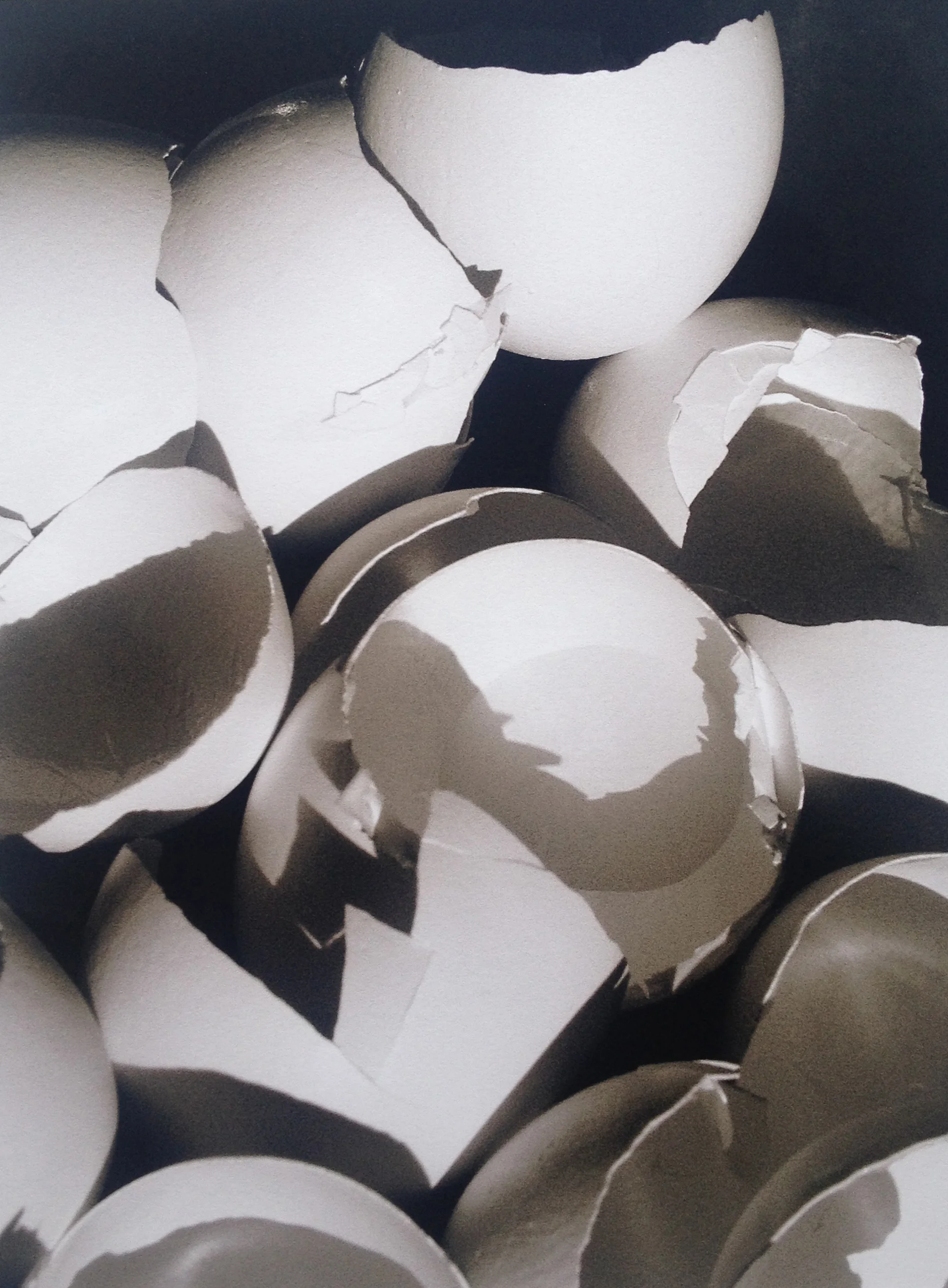 Many Broken Eggs