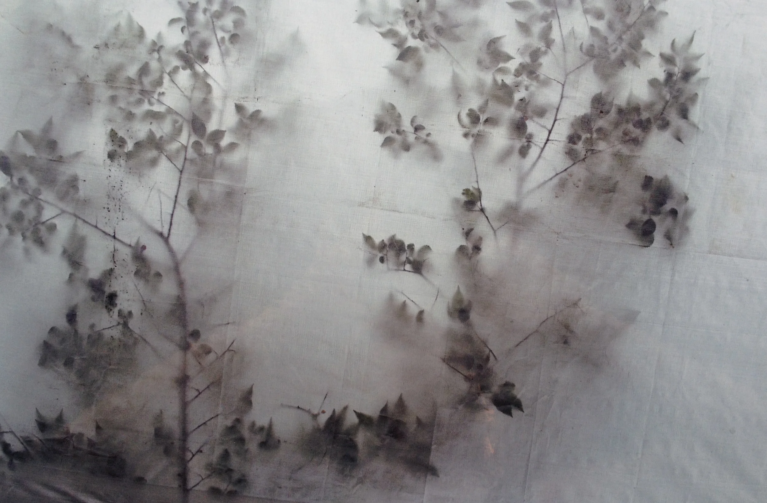 Tree Series #0209