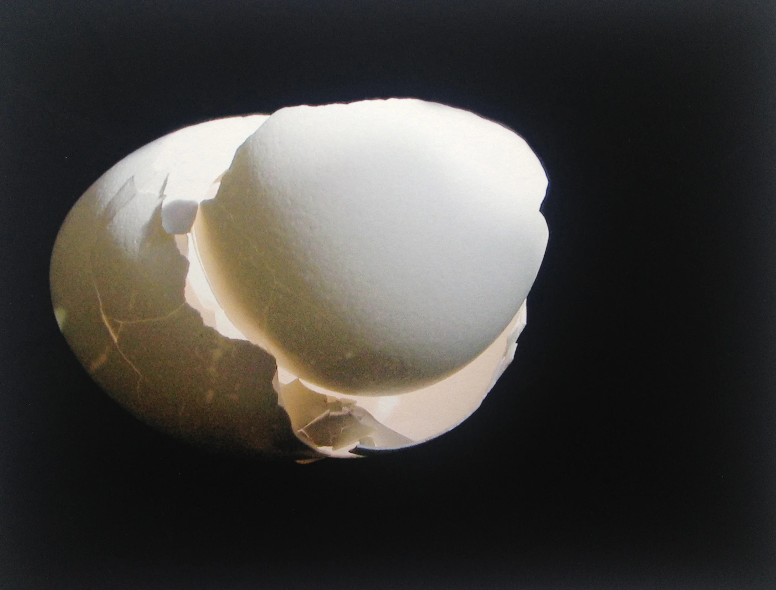 Egg #835