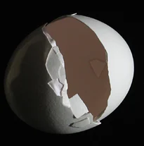 Egg #848