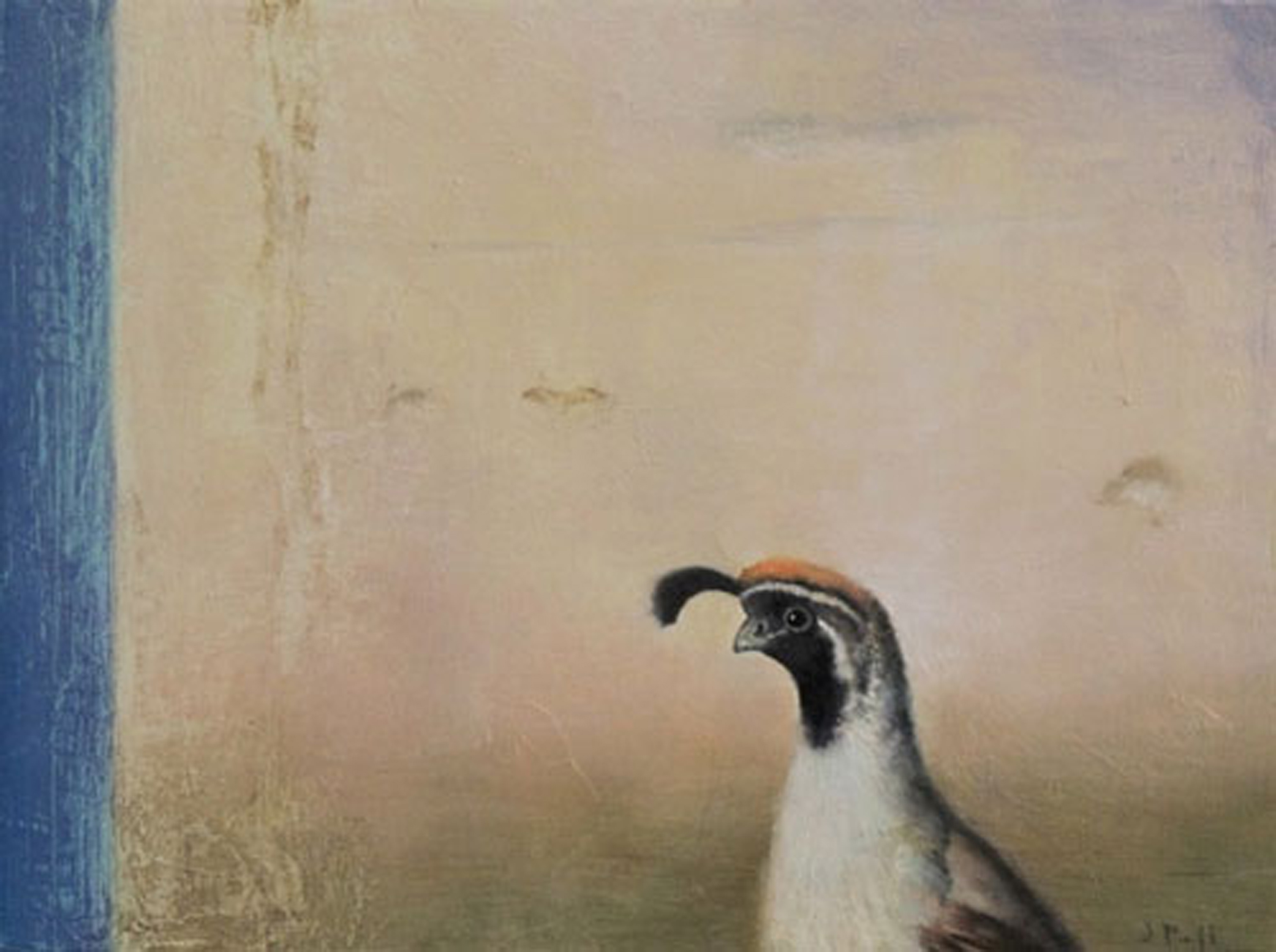 Quail #2