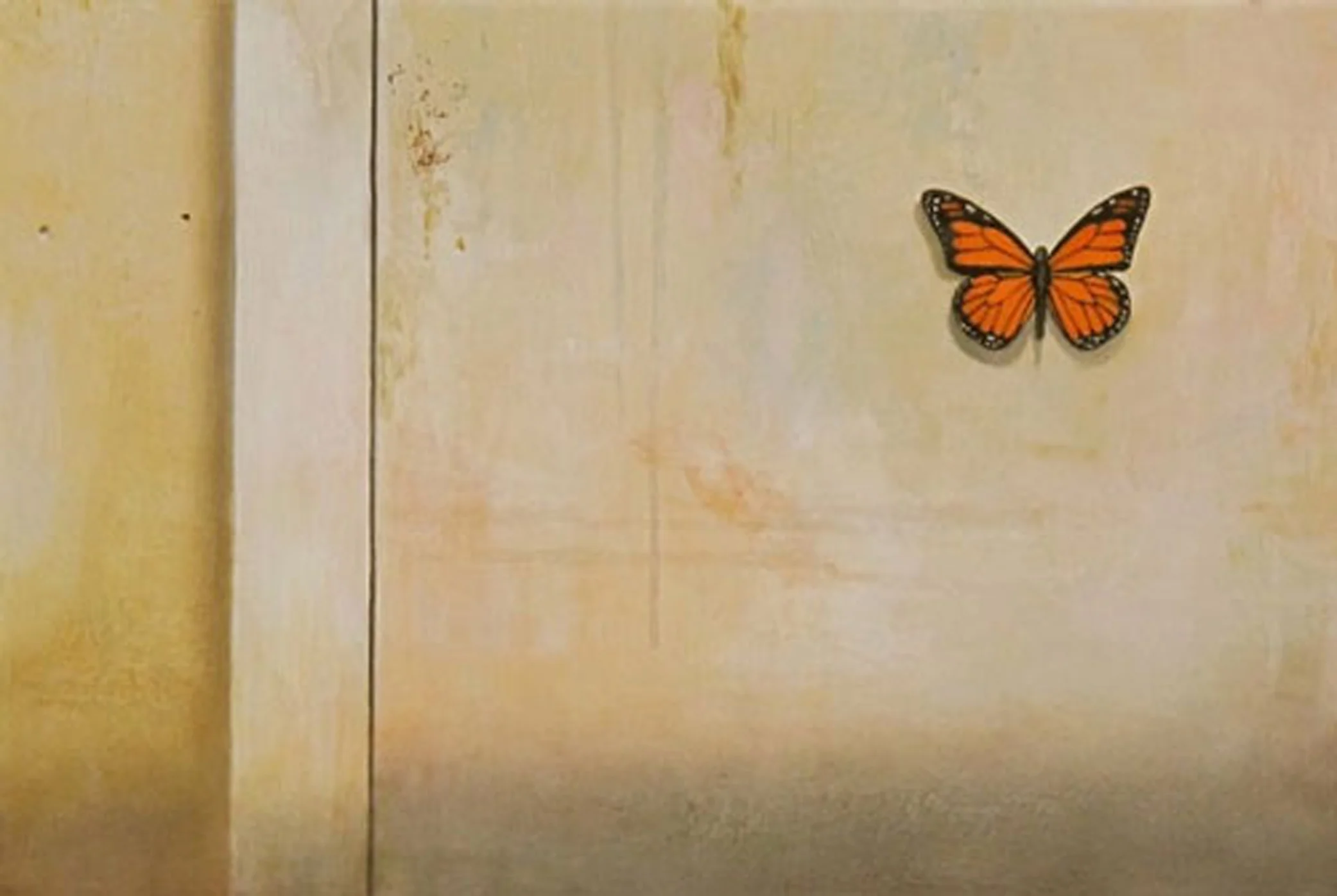 Monarch #2