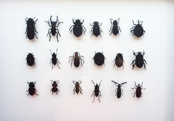 Beetles #2