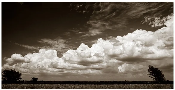 Push-Pull Landscape