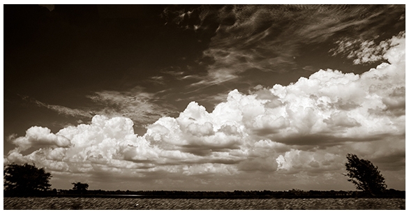Push-Pull Landscape