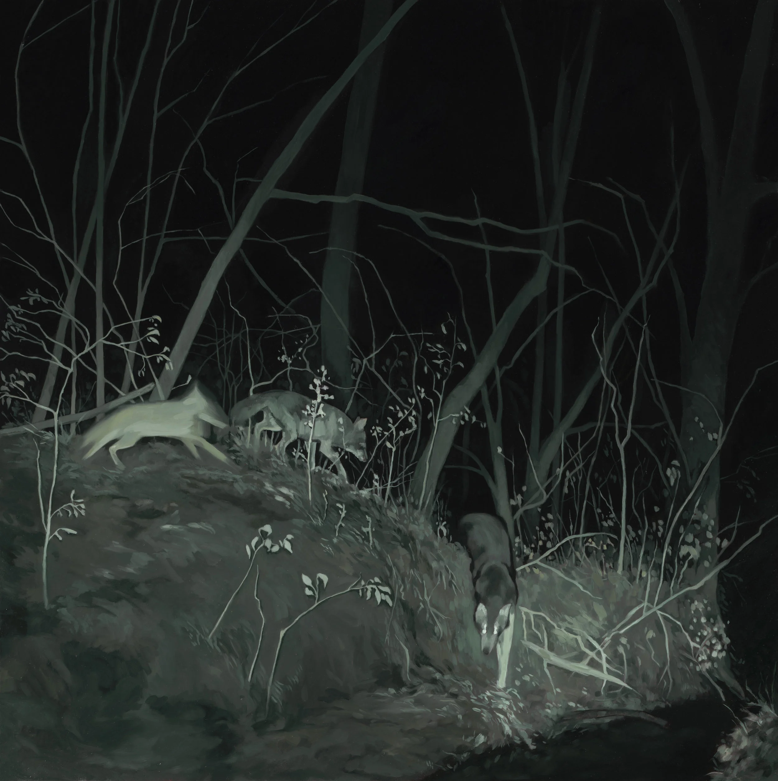 Night Vision