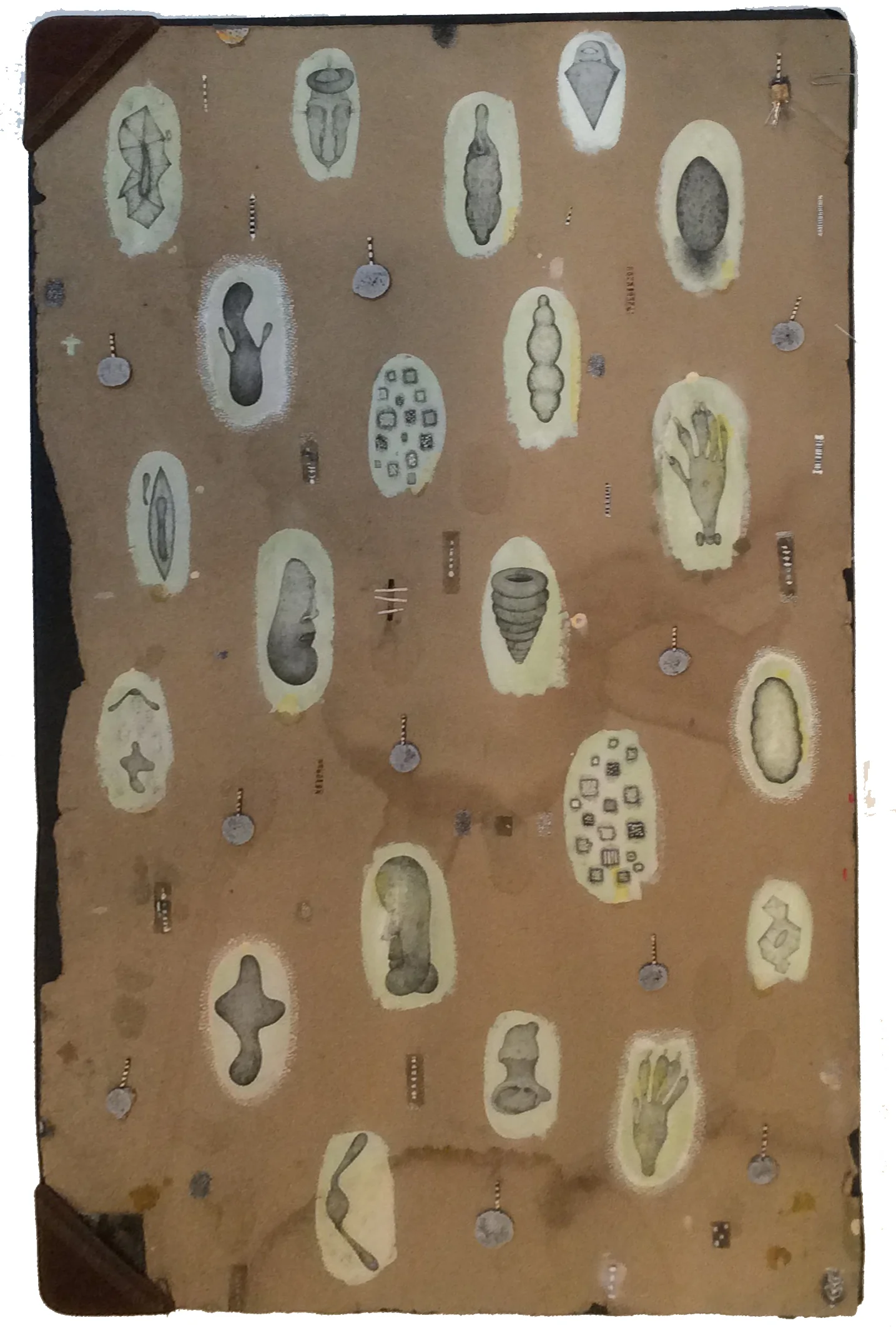 In House Drawing (Connie's Blotter)