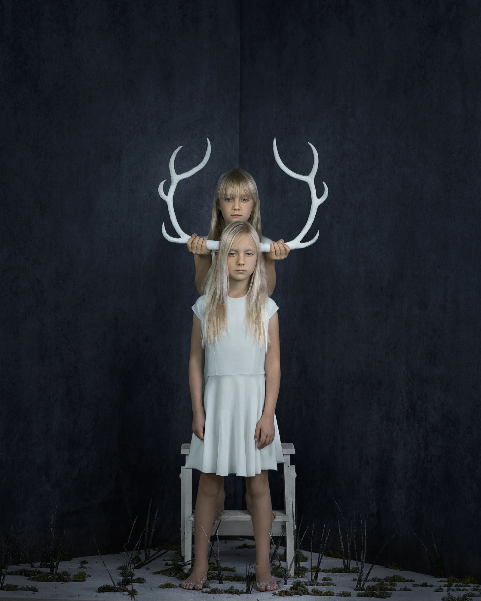 You Are My Twin, Antlers, 1/15