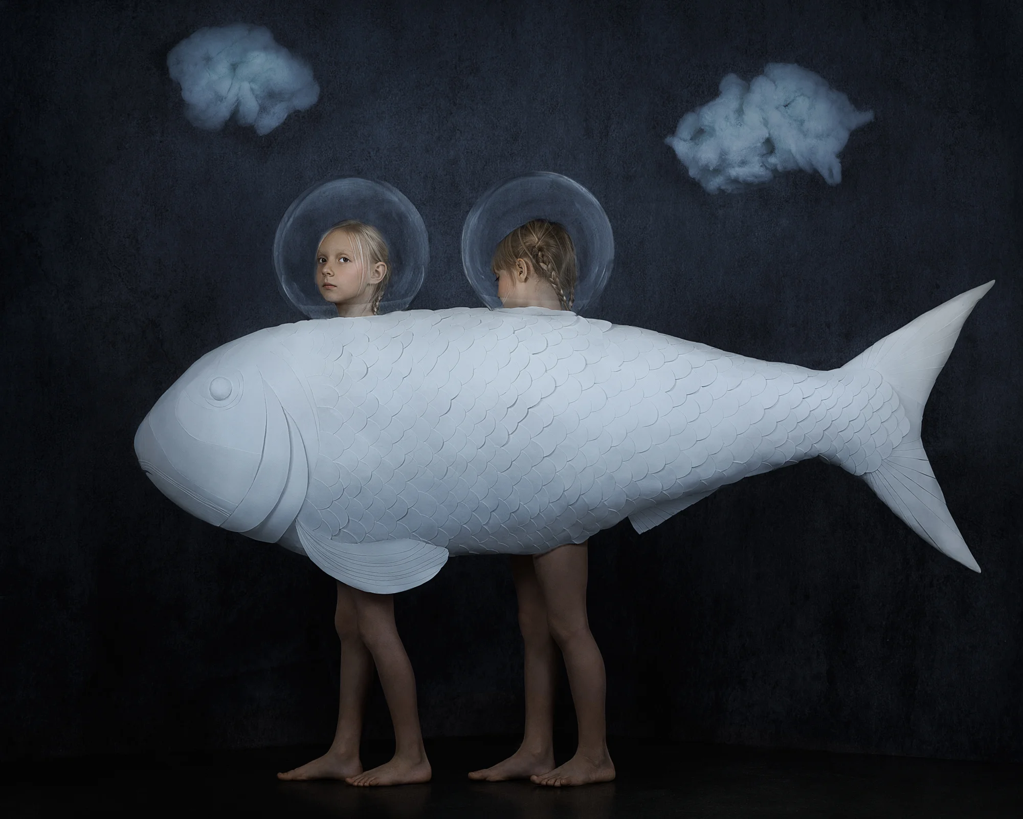 You Are My Twin, Fish, 1/15