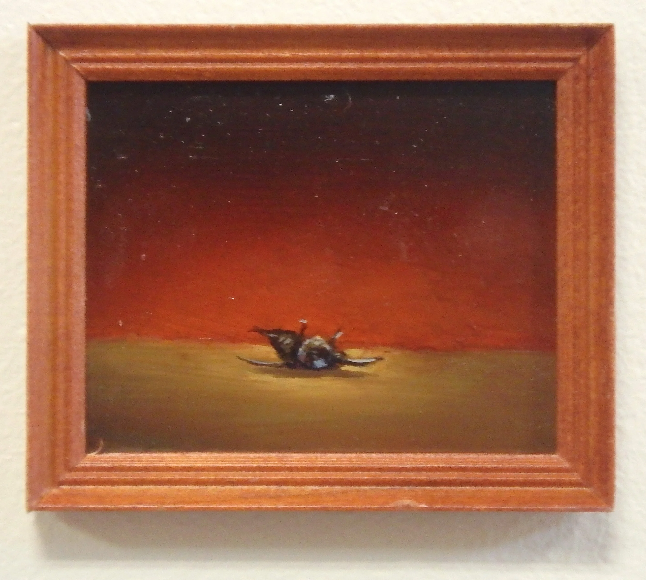 Dead Fly