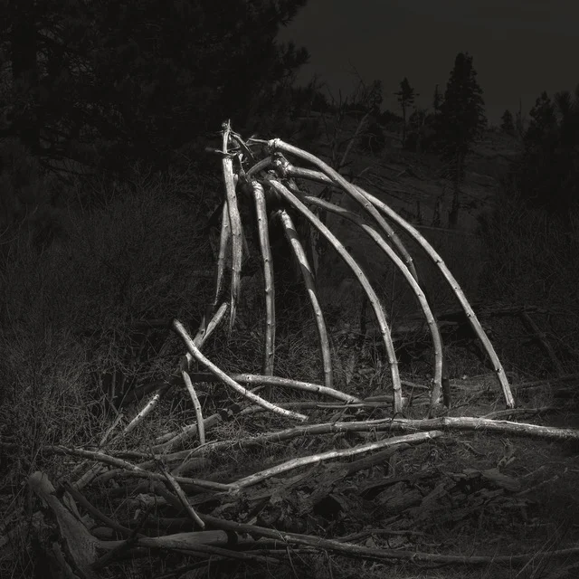 Animistic Ground #18, 1/10