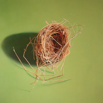 Nest - Verdant Passage