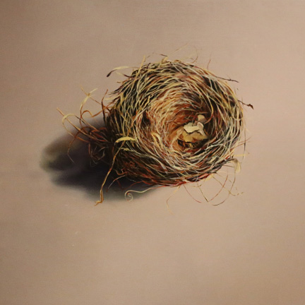 Nest - Sharkey Grey