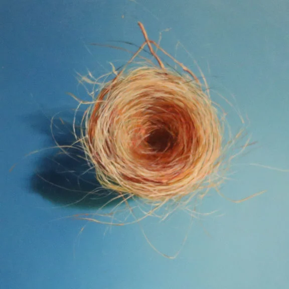 Nest - Ripple Blue