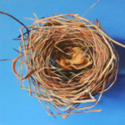 Nest - Azure Blue