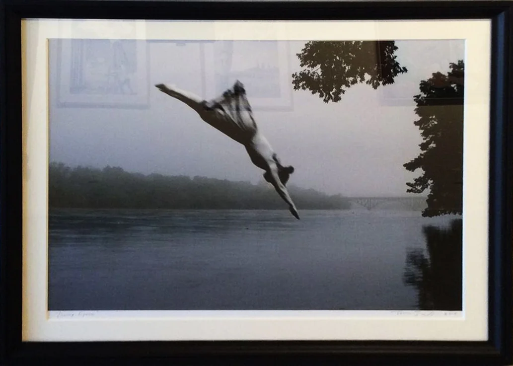 Diving Figure