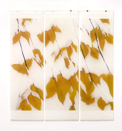 Seeking Solance No. 1
