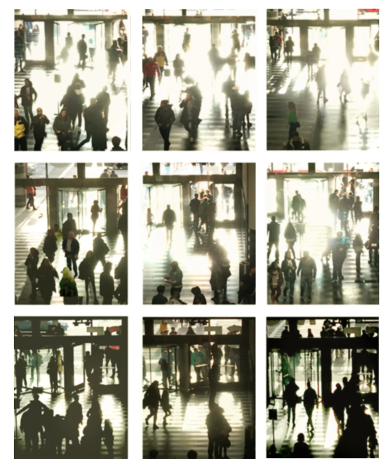 Disappearance Series
