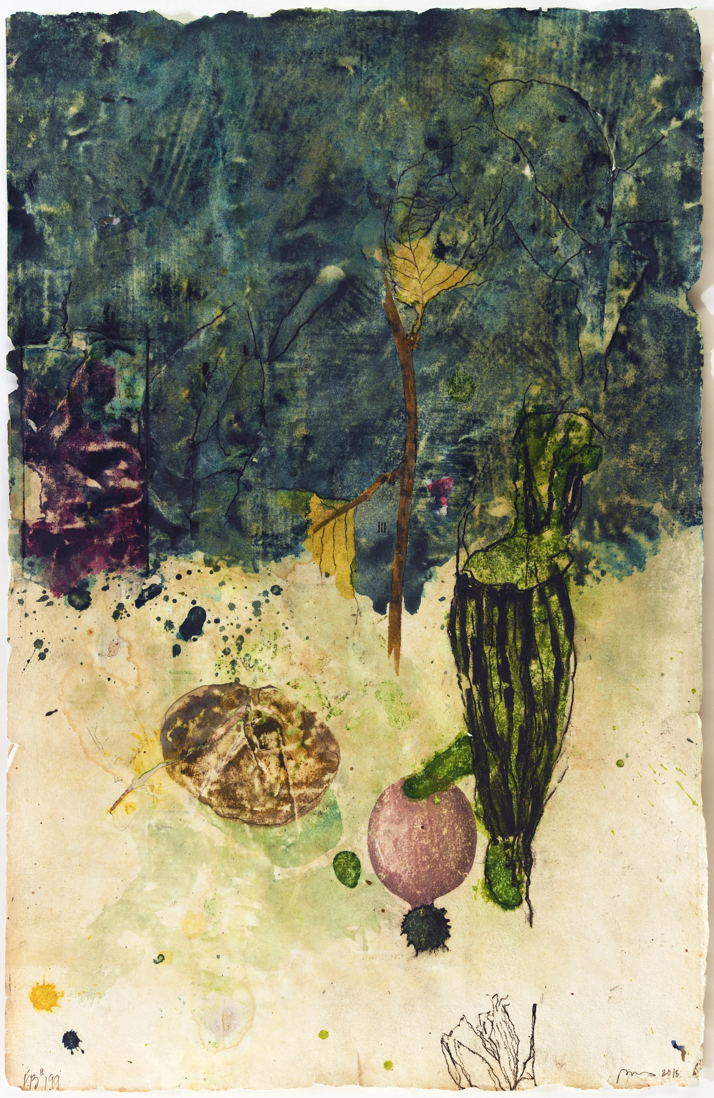 Flora Brasiliensis #199