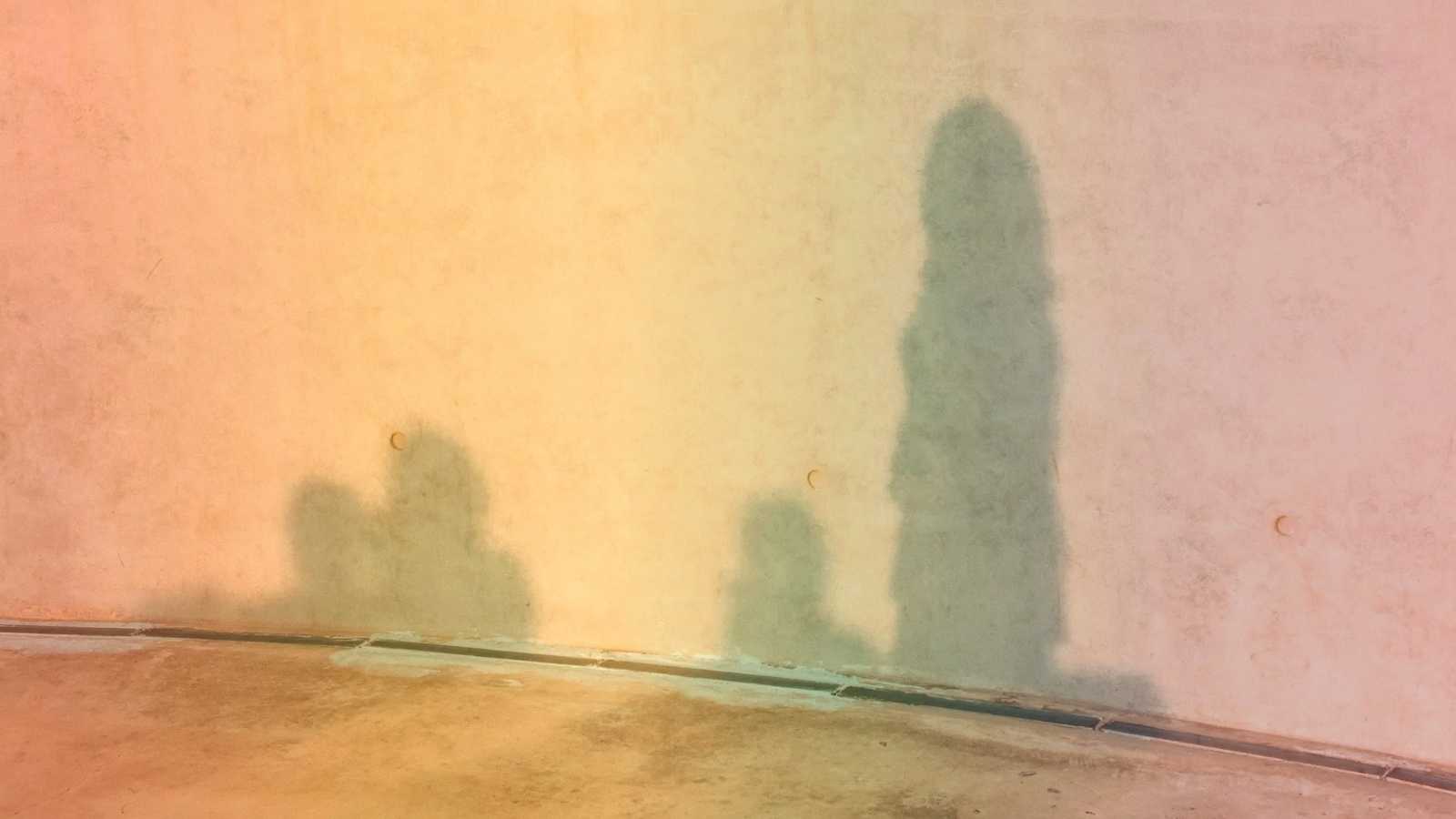 Rainbow Kids in a Red State: When Your Child's Identity Becomes a Custody Issue