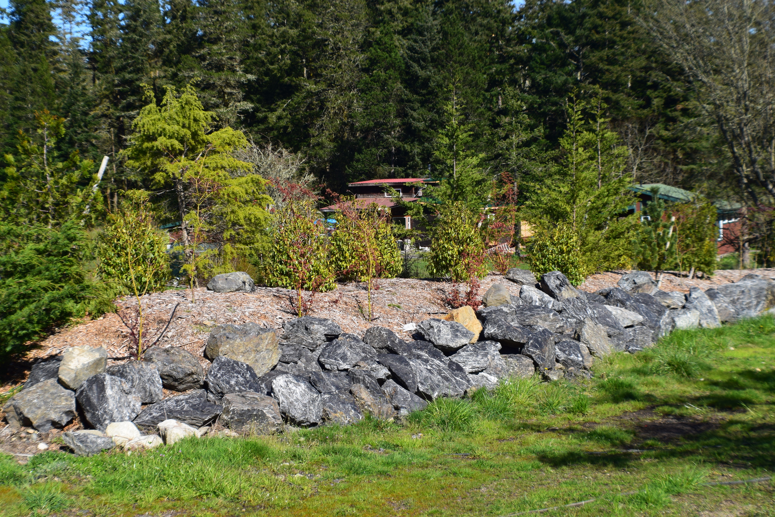 DSC_0091.JPG