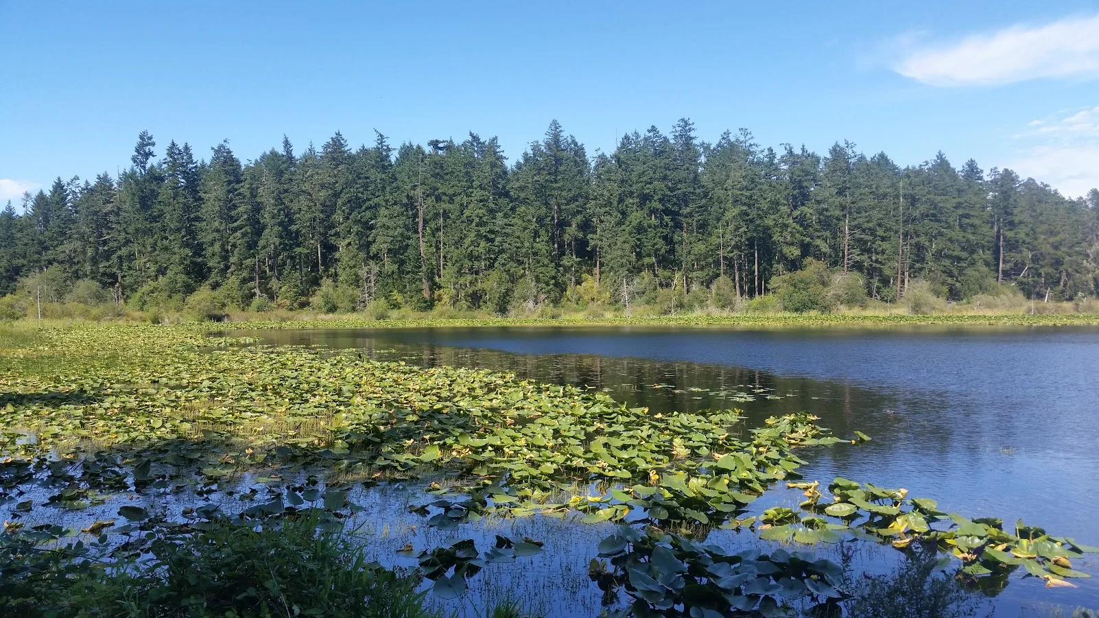Egg Lake 4.jpg