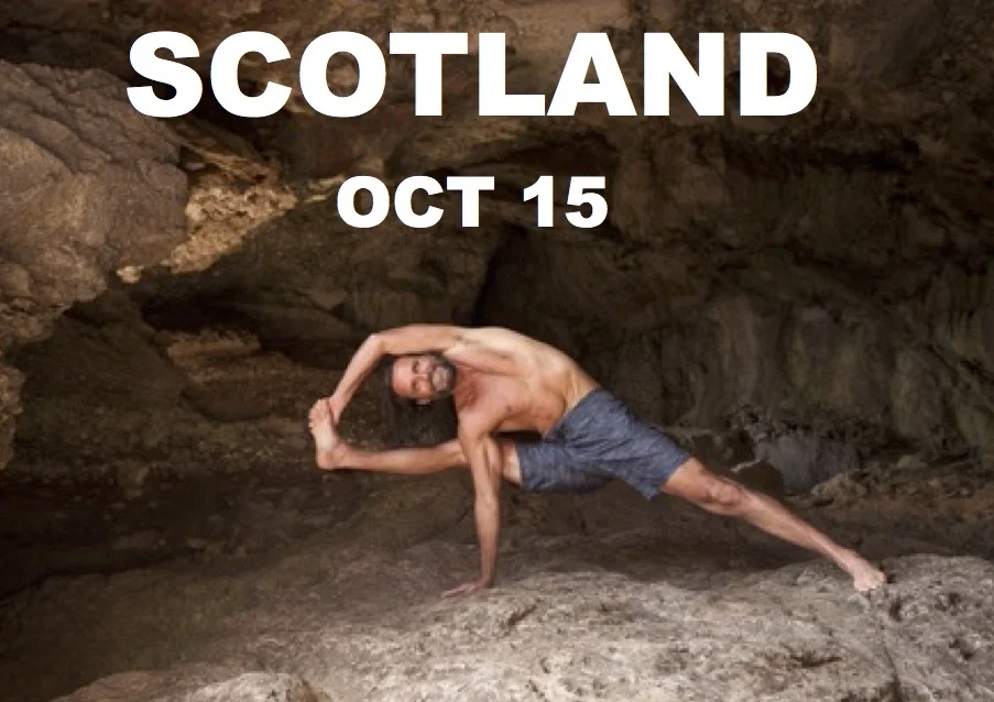 TRANSITIONS OF STEEL 