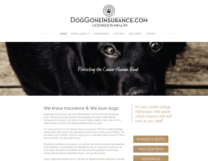 doggone-web.jpg
