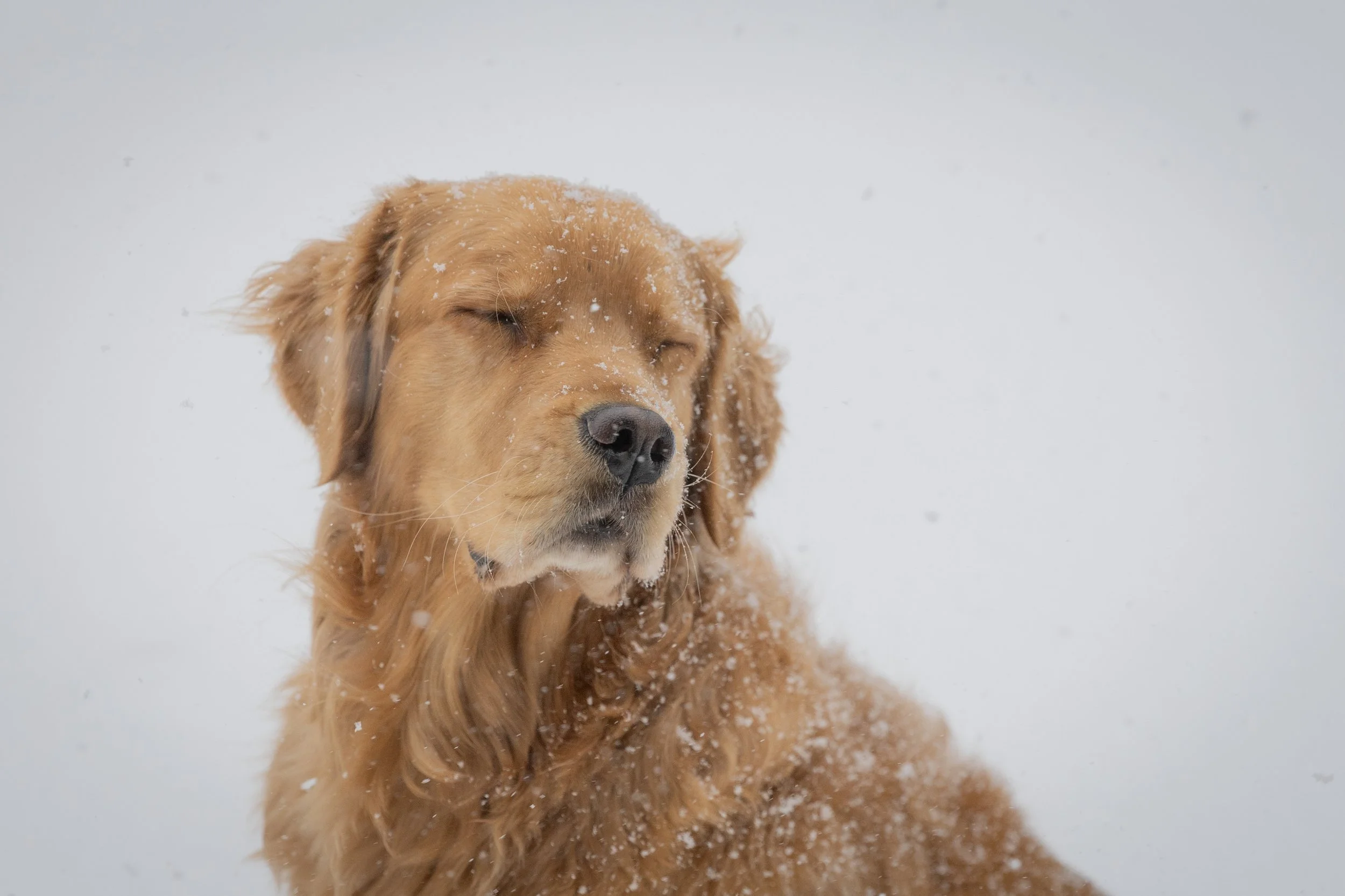 Ruthieinthe2026snow-04.jpg