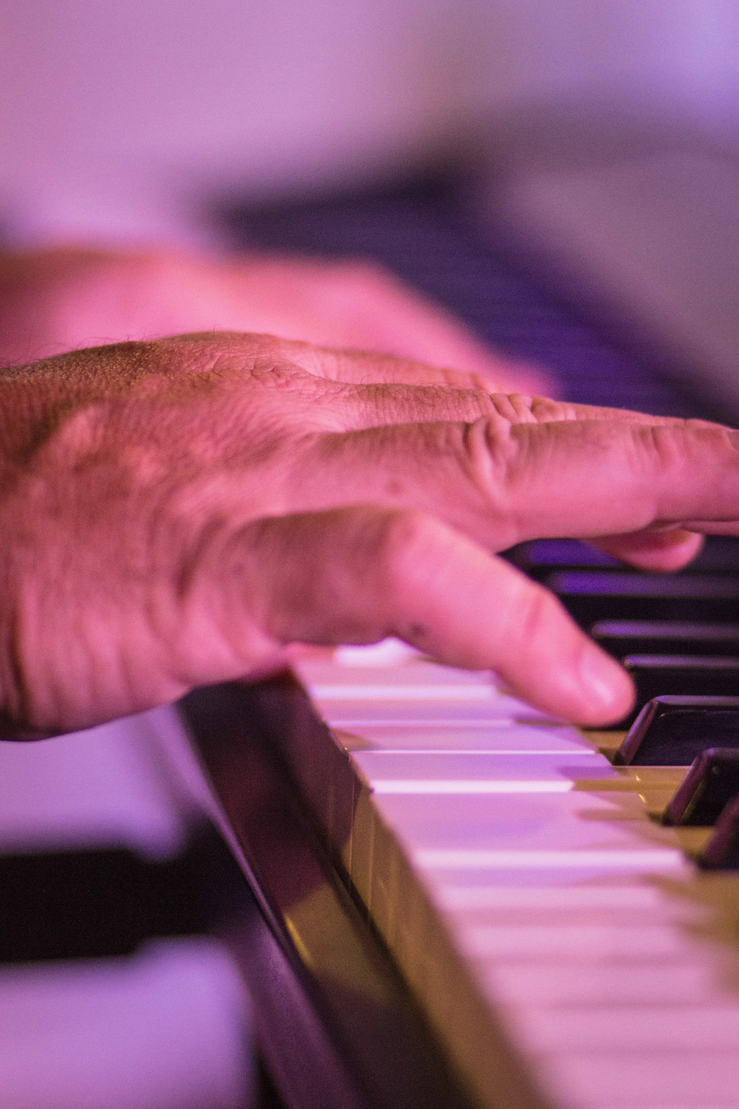 JIM CIAMPI SOLO PIANIST
