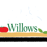WEDNESDAY AT WILLOWS * SETH &amp; JIM * WILLOWS PIZZA