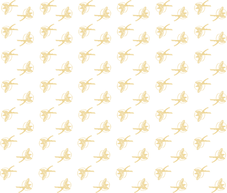 Skydance Branding Reveal