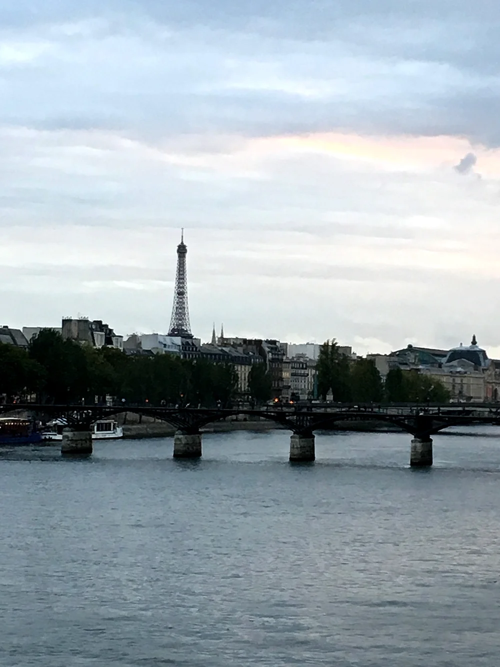 IMG_6485.jpg
