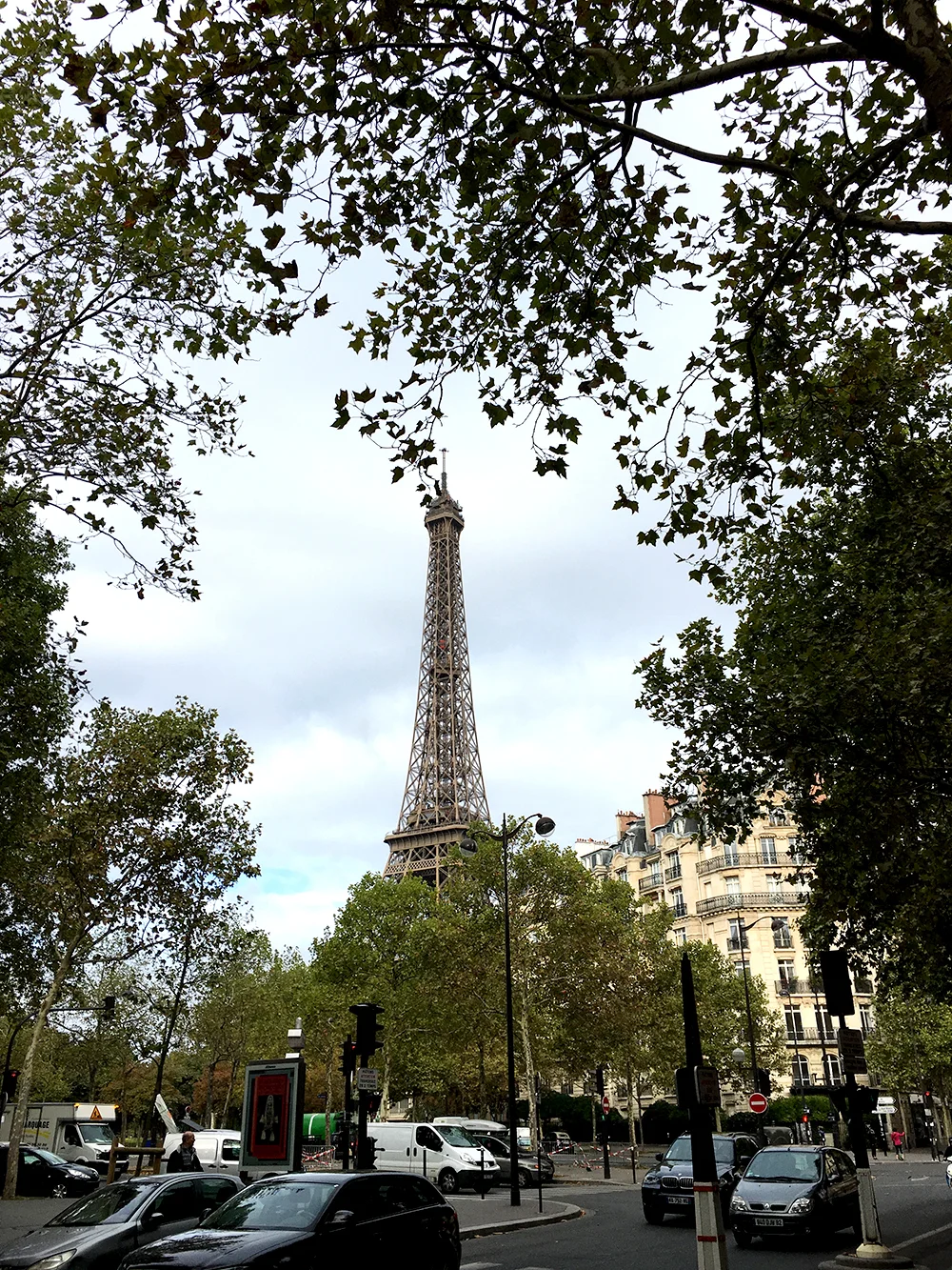 IMG_6516.jpg