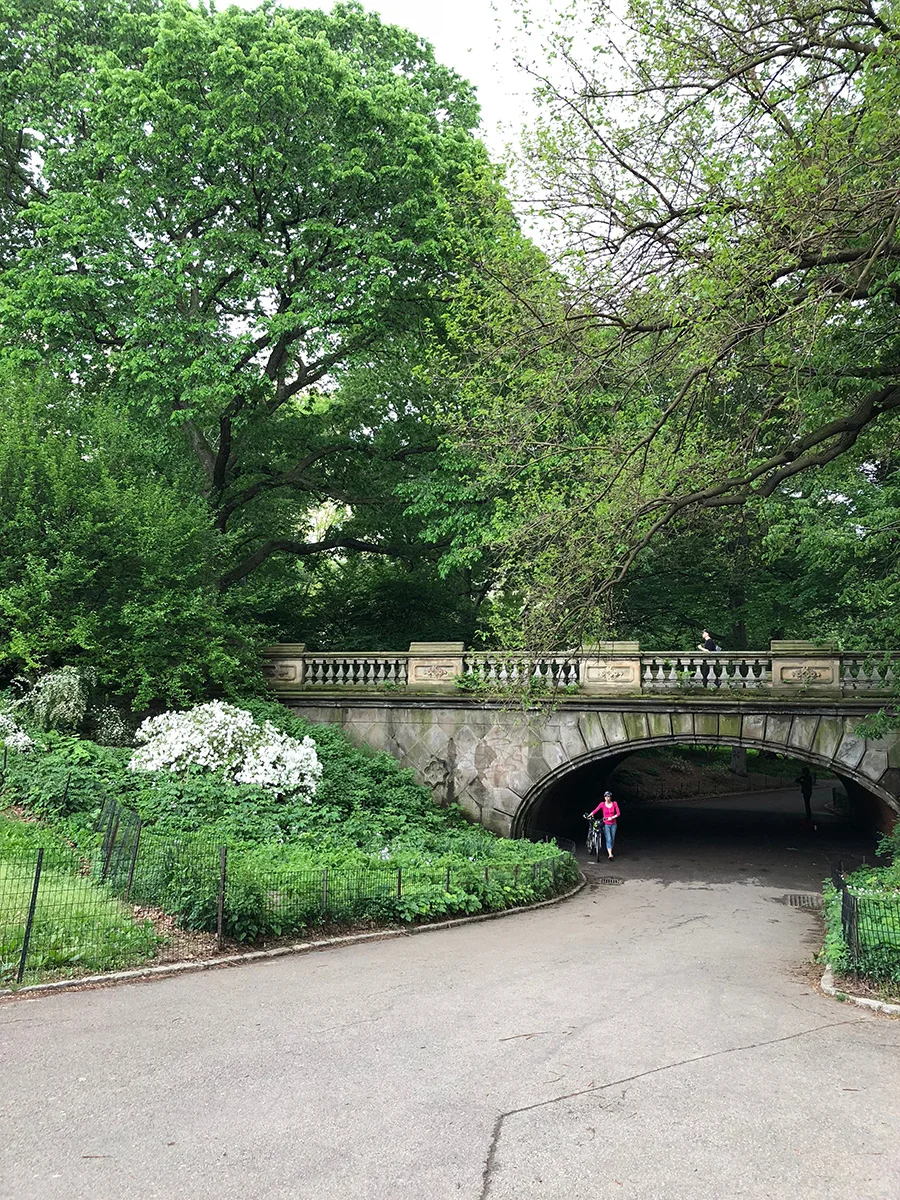 NewYorkCity-CentralPark.jpg