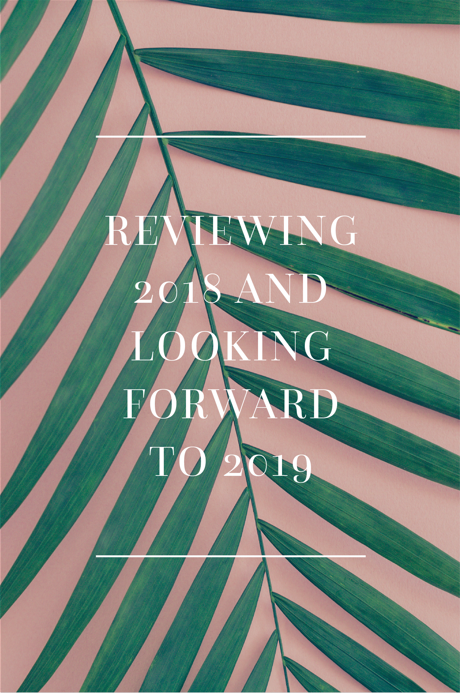 Reviewing 2018 and looking to 2019