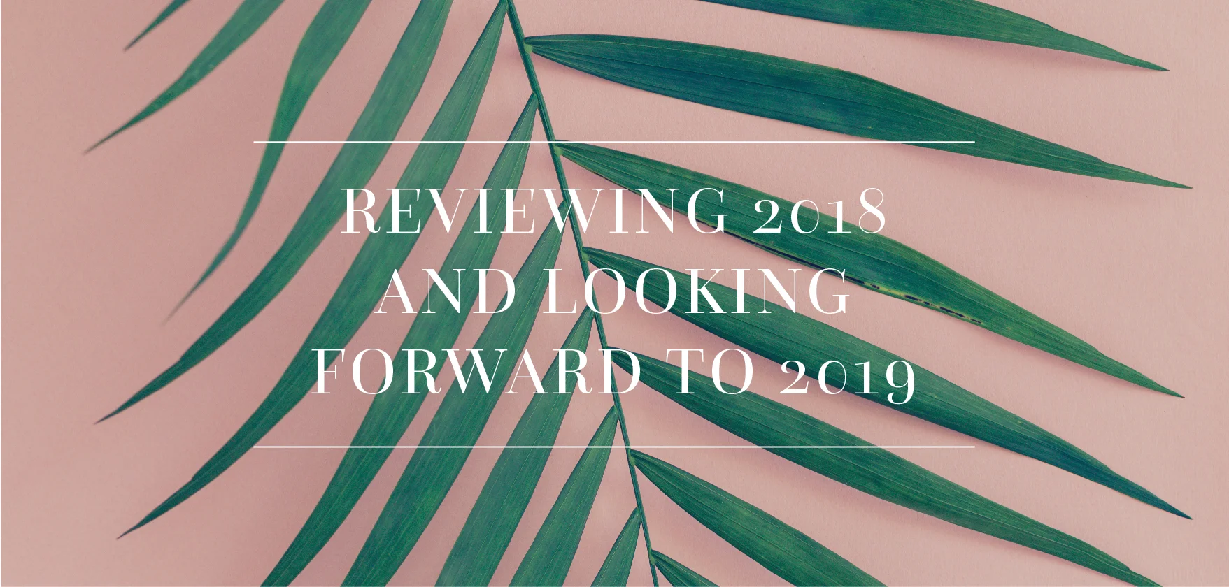 Blogpost-HayleyBighamDesigns-2018_in_review-01.jpg