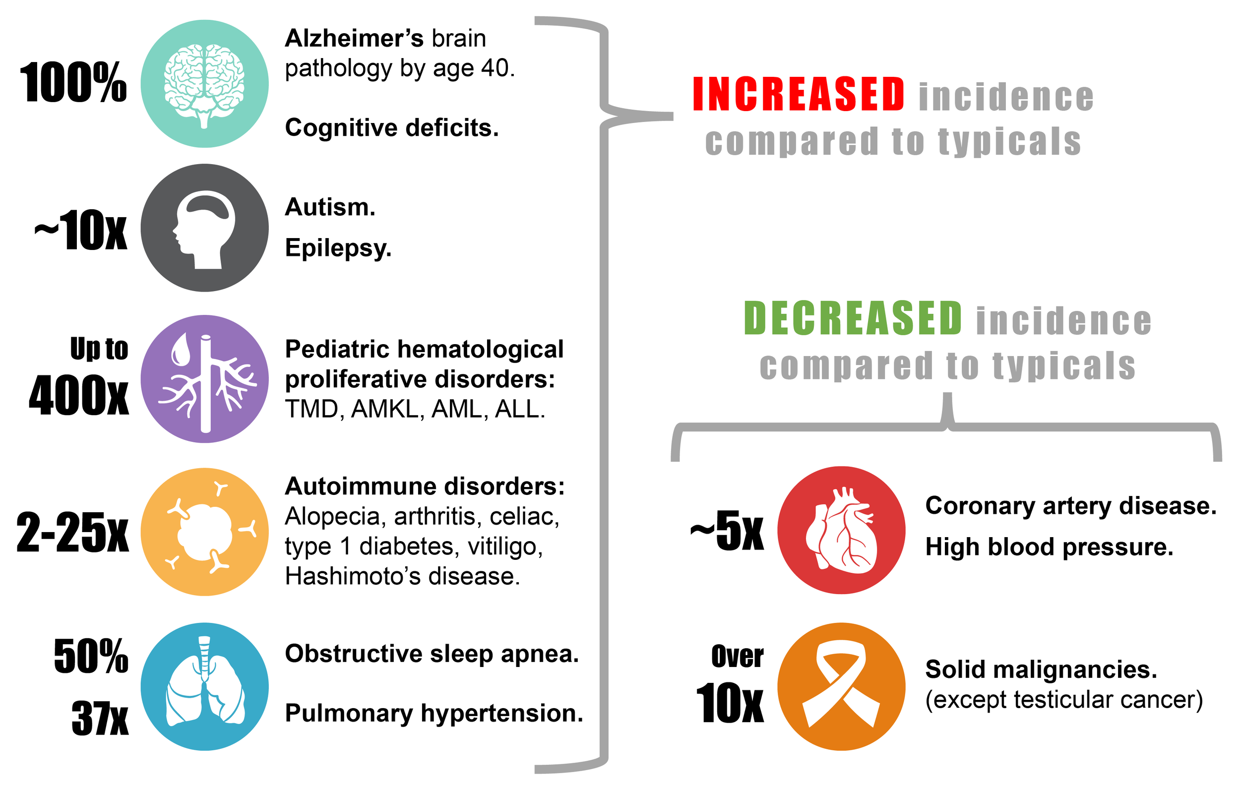 General overview of some of the diseases and medical conditions that occur at increased or decreased frequencies in people with Down syndrome, compared to the typical population as a whole.