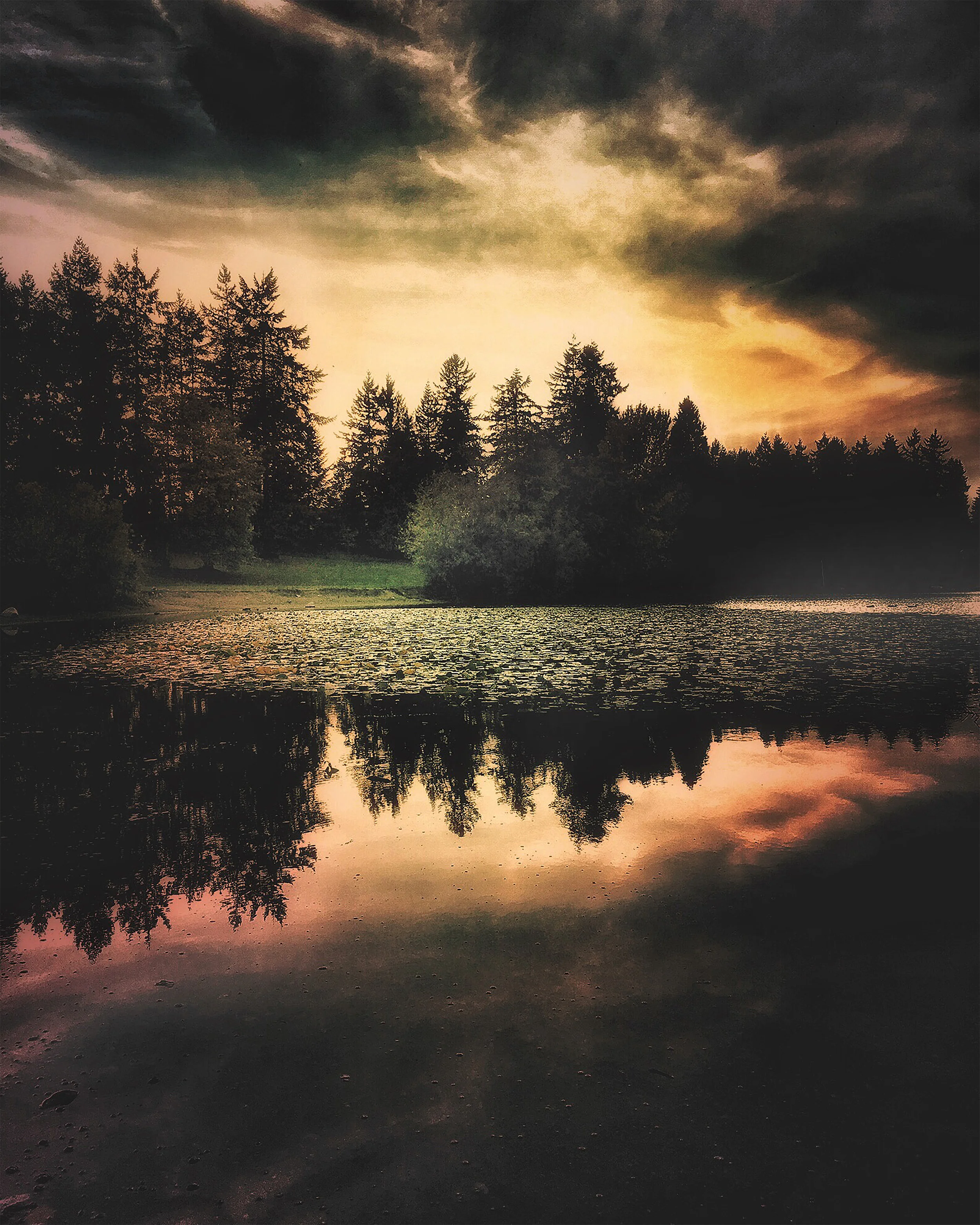 The Reflection