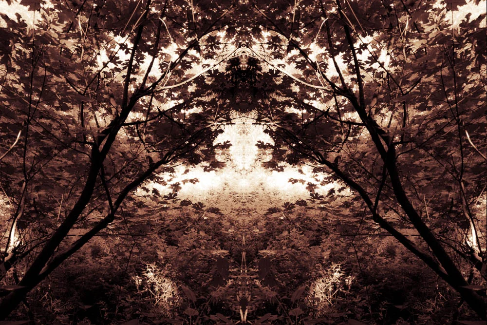 Illumination