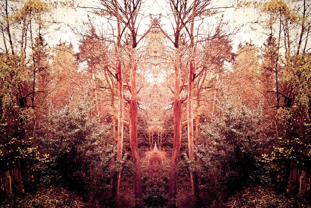 Ravine Portal