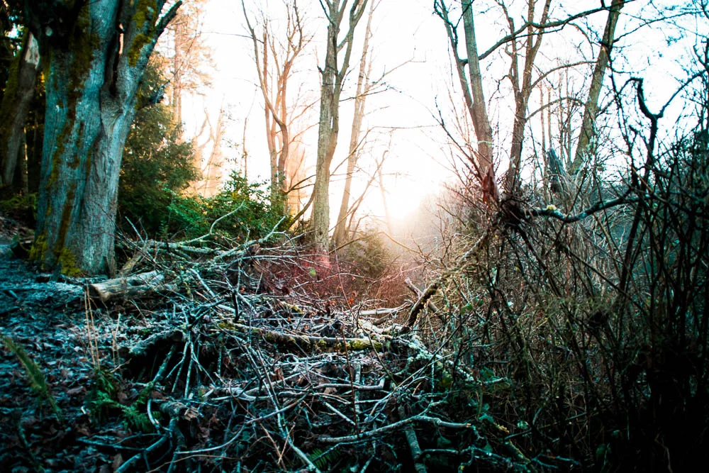 Filtered Light