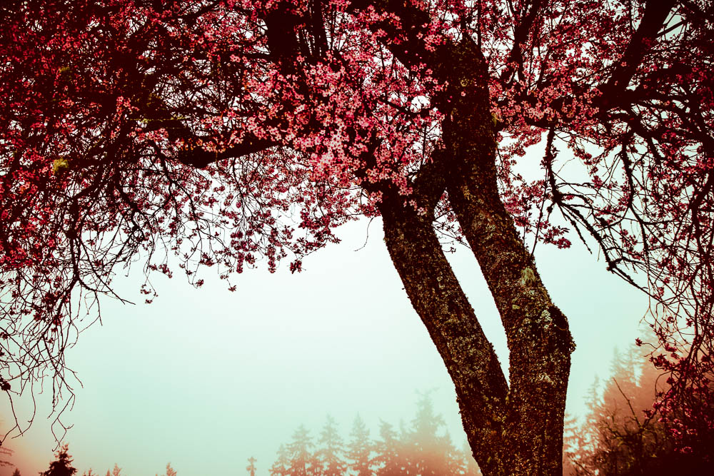 To print-33-2.jpg