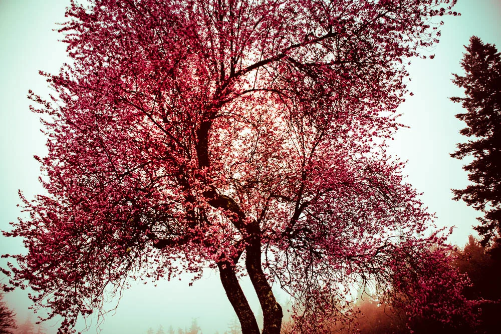 To print-26-2.jpg